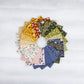 Before the Bloom 2 1/2" Rolie Polie