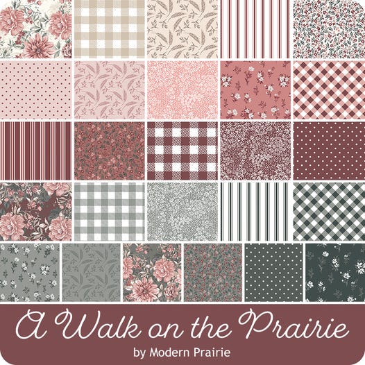 A Walk on the Prairie 2.5" Rolie Polie
Modern Prairie for Riley Blake Designs